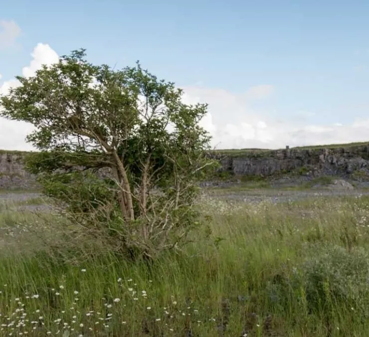 Salt Lake Quarry Nature Reserve